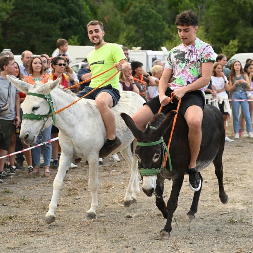 Fiestas de Biescas | Carrera de burros