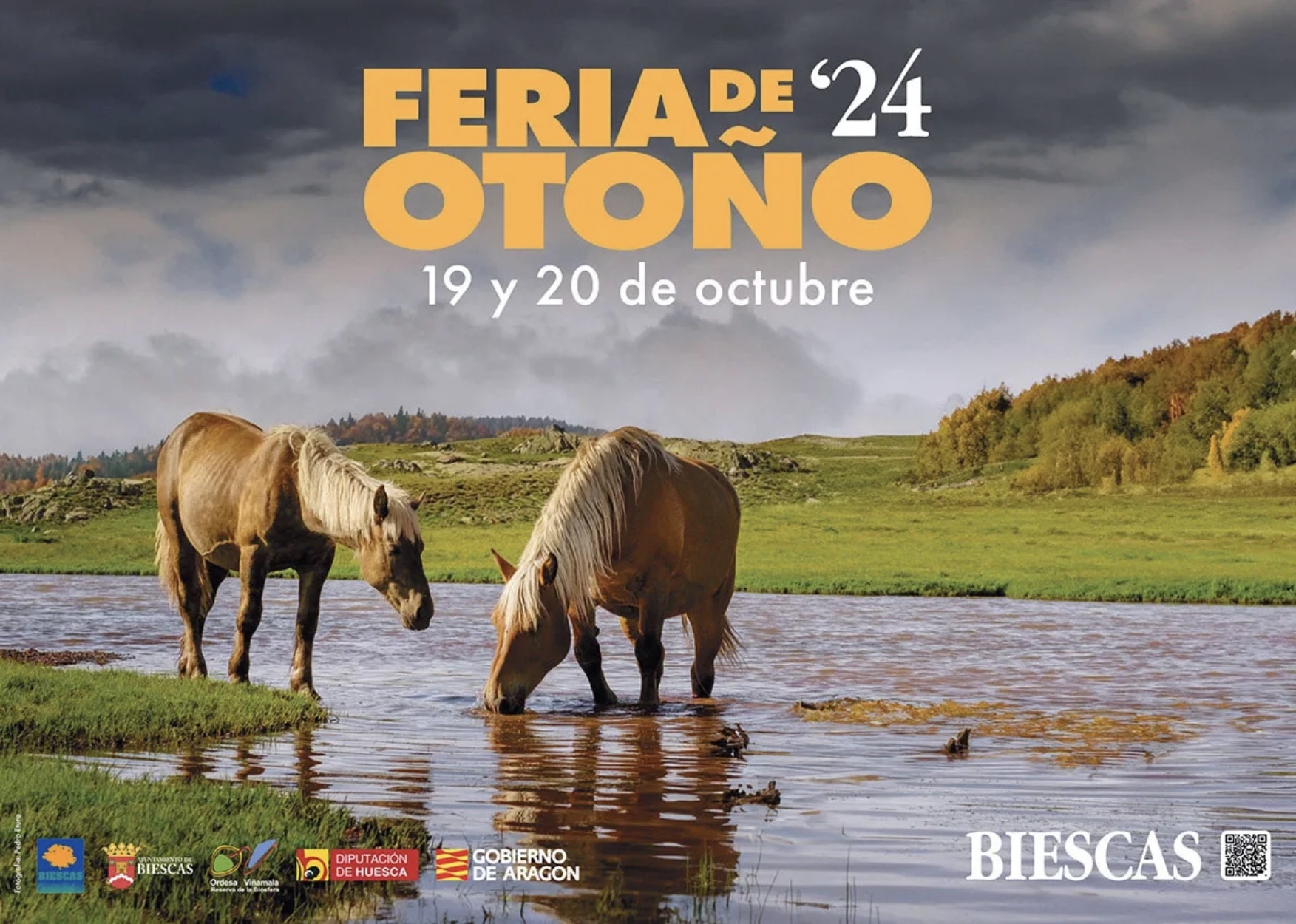 Feria de Otoño de Biescas